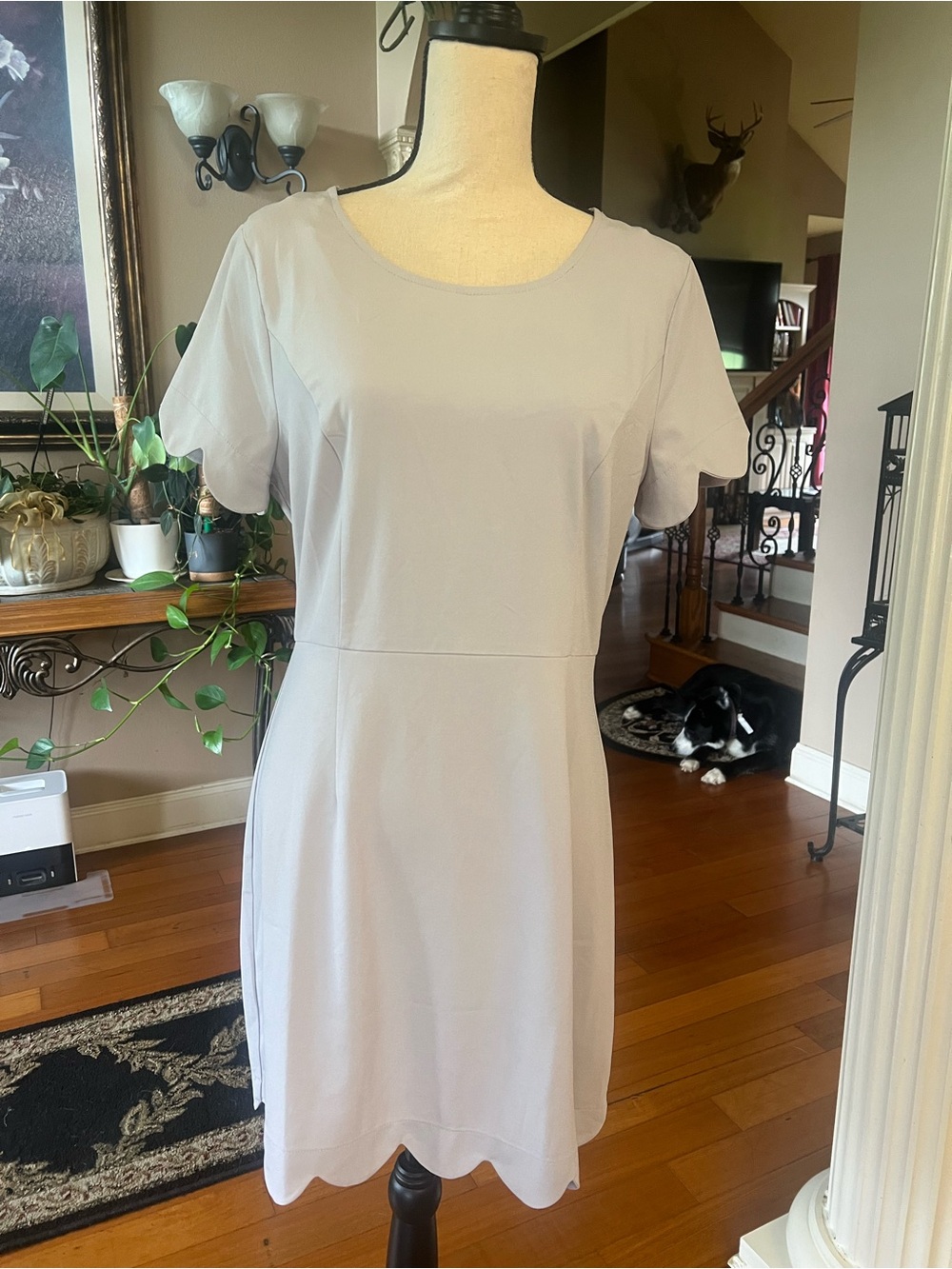 entro Light Blue Gray Short-Sleeve Scallop Hem Mini Dress